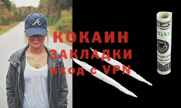 шишки Ладушкин
