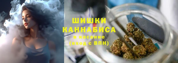 шишки Ладушкин