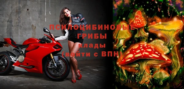шишки Ладушкин