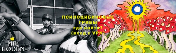 мдма Лагань