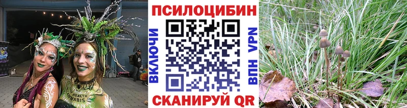 наркошоп  Вытегра  Галлюциногенные грибы Psilocybine cubensis 